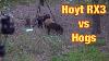 Hoyt REDWRX 2019 Carbon RX-3 Ultra Compound Hunting Bow RH 65lb 27-30 DL